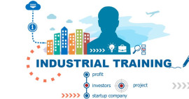 INDUSTRIAL TRAINING IN DELHI